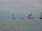 DSC00437_s.jpg