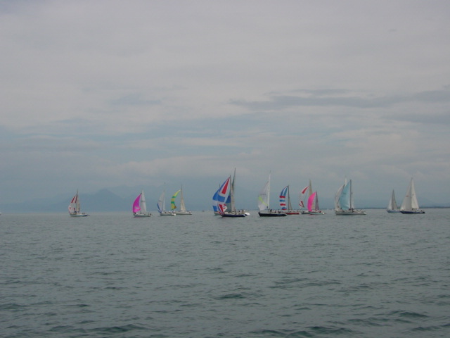 DSC00439.JPG