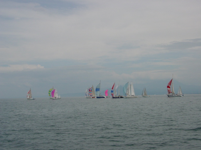 DSC00440.JPG