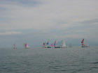 DSC00440_s.jpg