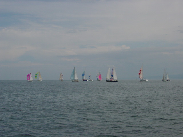 DSC00441.JPG