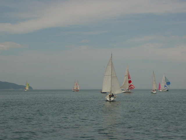 DSC00442.JPG