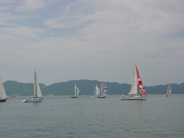 DSC00443.JPG