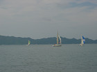 DSC00444_s.jpg