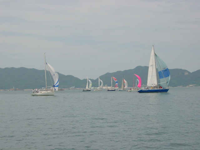 DSC00445.JPG
