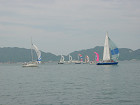 DSC00445_s.jpg