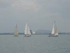 DSC00448_s.jpg