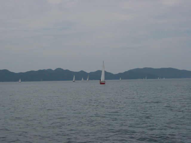 DSC00453.JPG