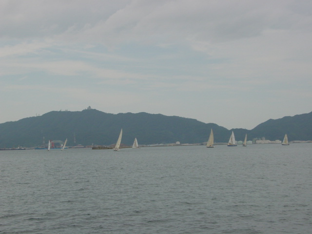 DSC00454.JPG