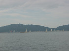 DSC00454_s.jpg