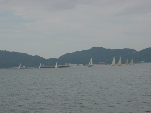 DSC00455.JPG