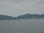 DSC00455_s.jpg