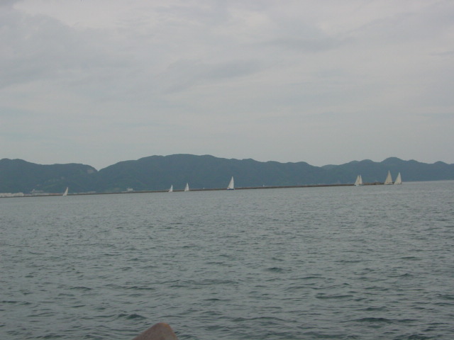 DSC00458.JPG