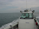 DSC00460_s.jpg