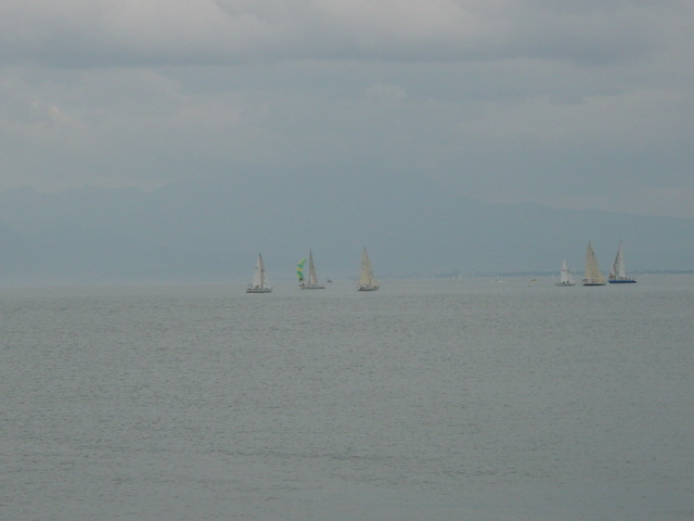 DSC00461.JPG