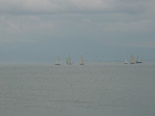 DSC00461_s.jpg