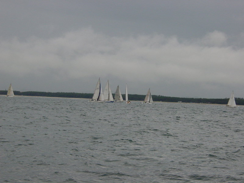DSC03129.jpg