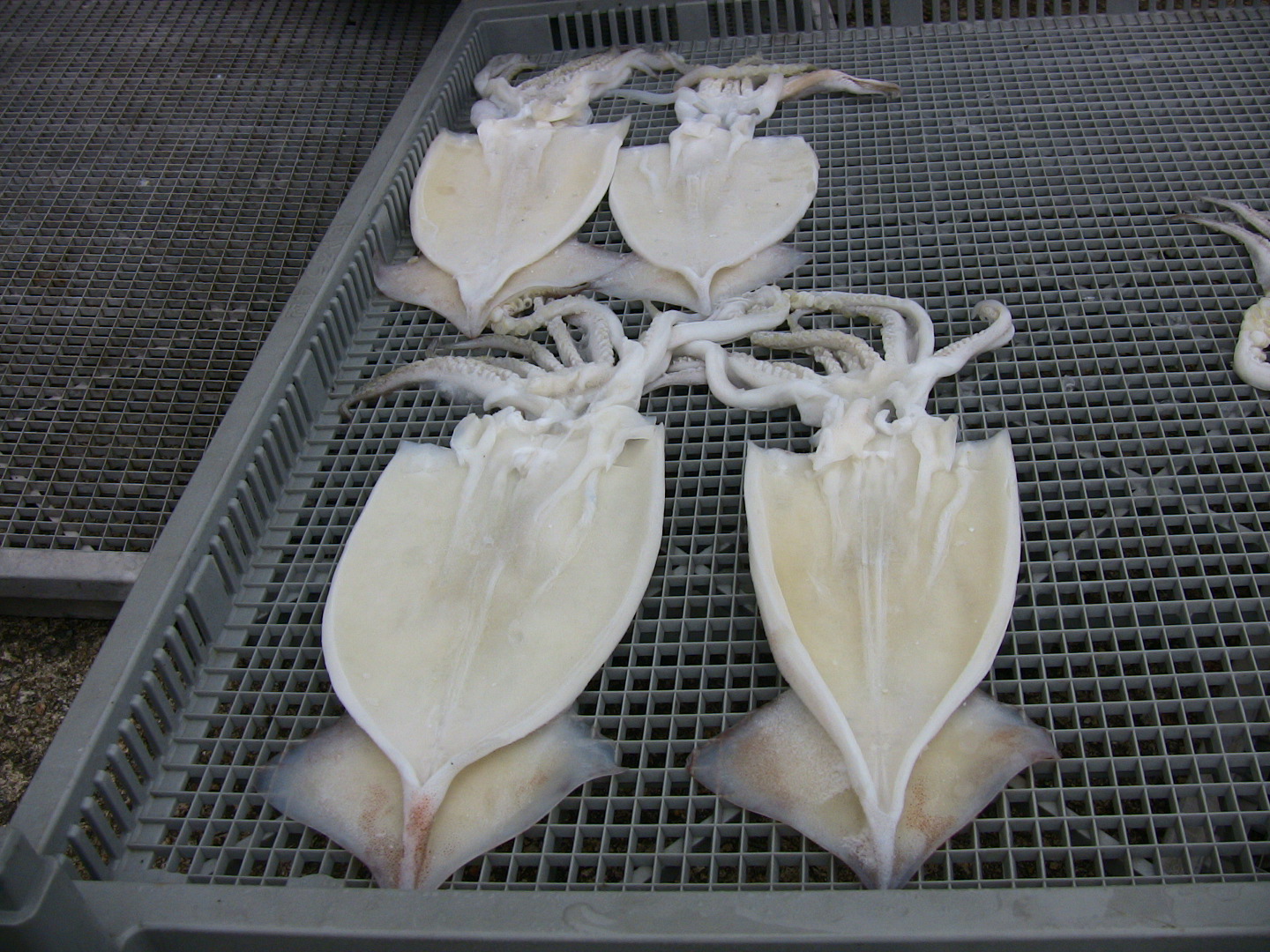 20100522_09.JPG